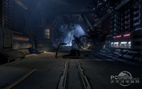 异形大战铁血战士 异形大战铁血战士