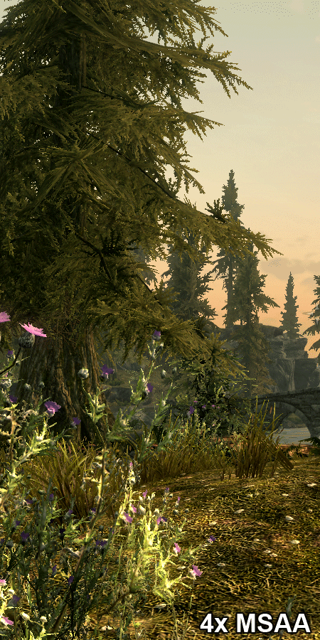 什么样的显卡能流畅？《上古卷轴5》简测