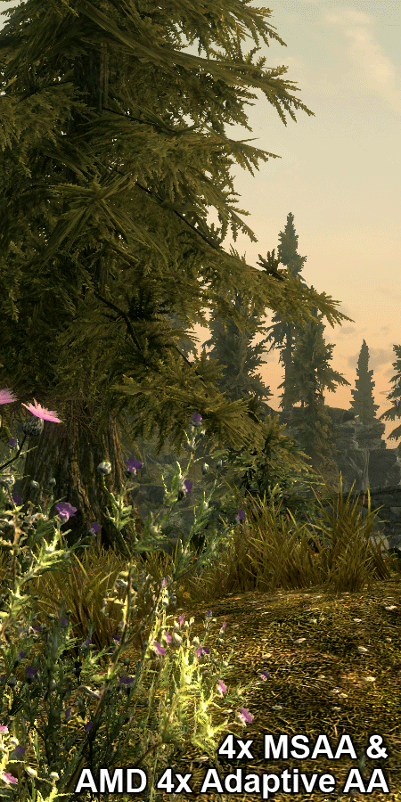 什么样的显卡能流畅？《上古卷轴5》简测