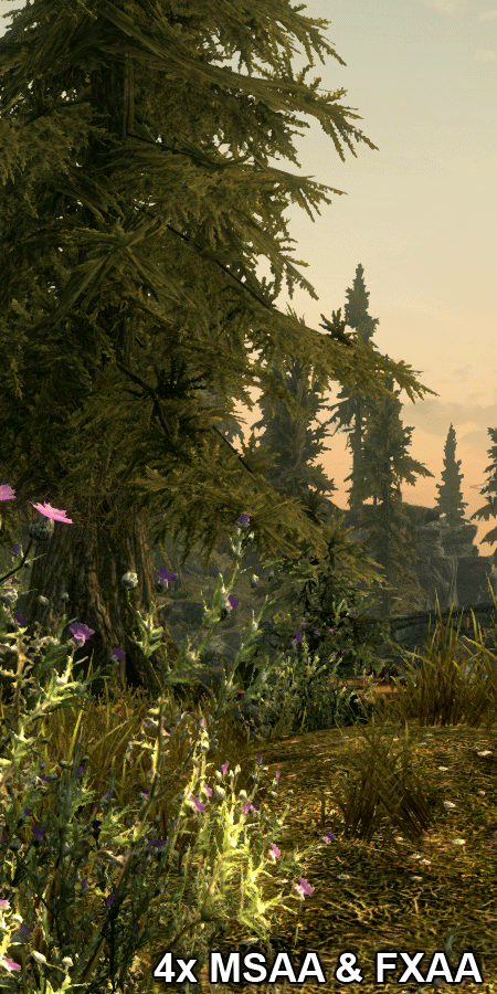 什么样的显卡能流畅？《上古卷轴5》简测