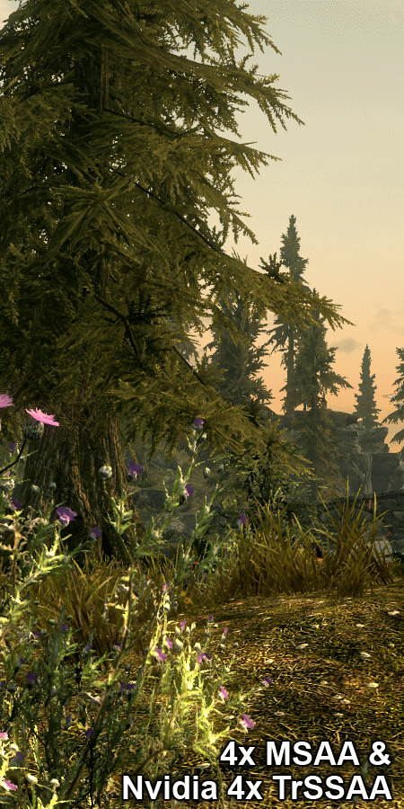 什么样的显卡能流畅？《上古卷轴5》简测