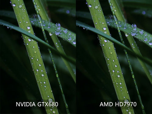 N卡/A卡颜色对比