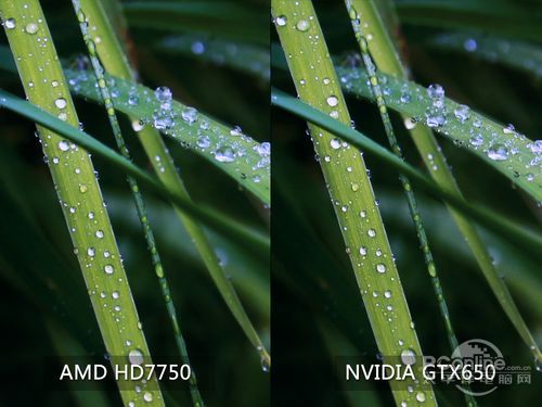 A/N显卡色彩对比 A/N显卡色彩对比