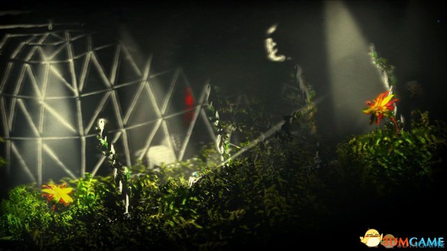 交易者 花屏白屏问题的解决方法