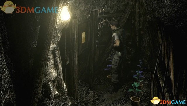 生化危机HD重制版 图文全攻略 全剧情流程全谜题解密