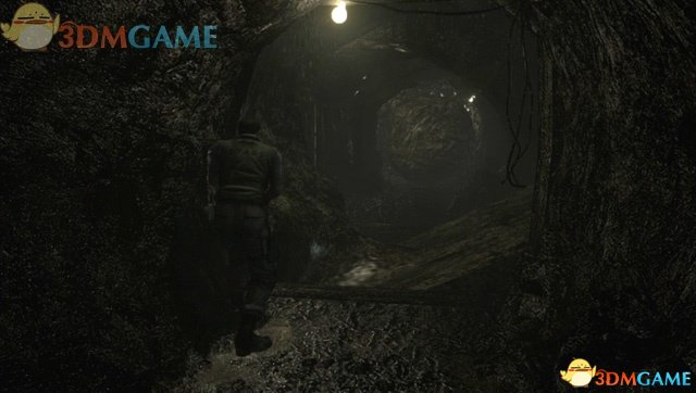 生化危机HD重制版 图文全攻略 全剧情流程全谜题解密