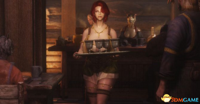 上古卷轴5：天际重制版 身临其境的妹子MOD