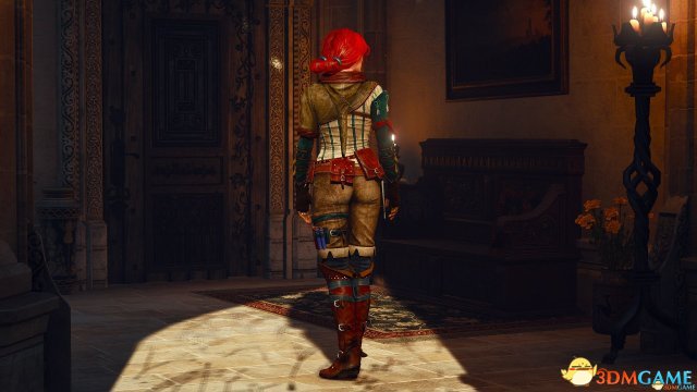 巫师3：狂猎 人物MOD特丽丝的时装