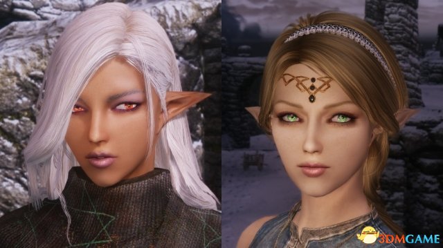 上古卷轴5 Gyot的随从MOD