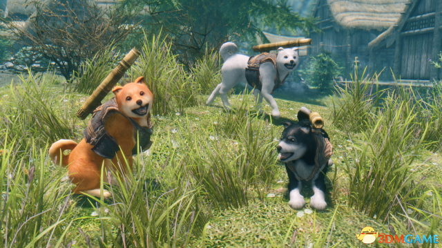 上古卷轴5 重装机兵波奇战斗犬MOD