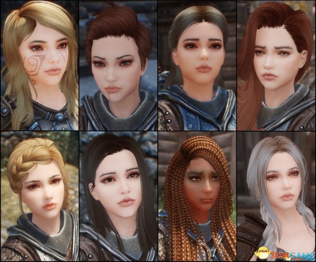 上古卷轴5:天际 侍卫美化MOD