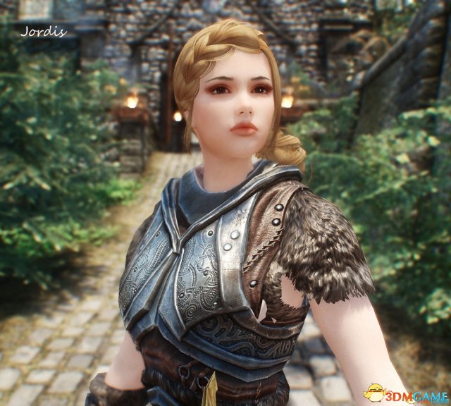 上古卷轴5:天际 侍卫美化MOD