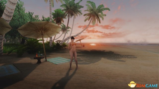 上古卷轴5：天际 热带岛屿MODv1.24