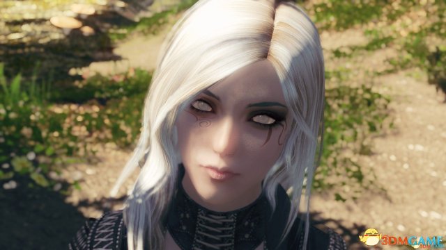 上古卷轴5：天际 随从僵尸姐妹贝拉和伊尔达MOD