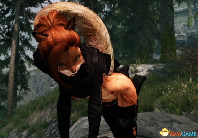 上古卷轴5 爱琳兽人化MOD