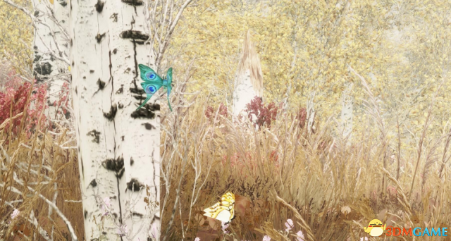 上古卷轴5 漂亮的昆虫MOD