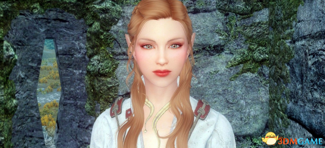 上古卷轴5 半精灵神射手丽塔MOD