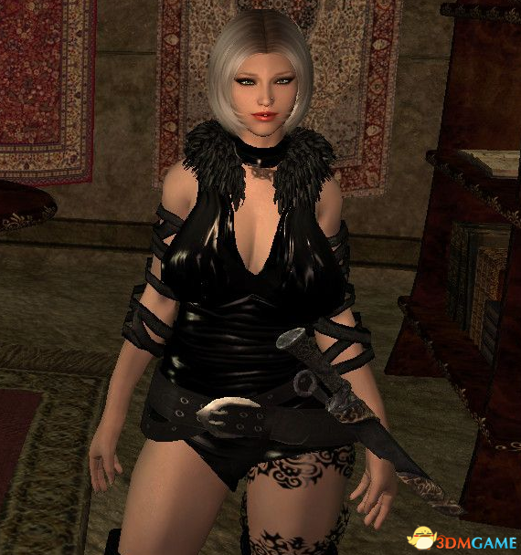 上古卷轴5 欧美风随从团MOD