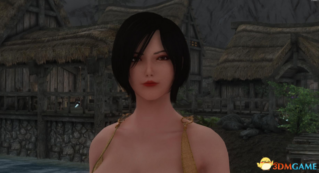 上古卷轴5 生化6的艾达随从MOD