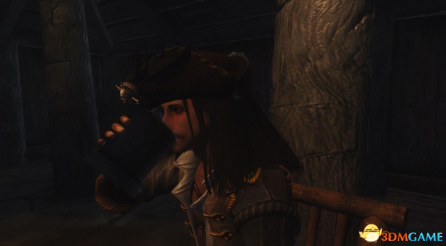 上古卷轴5 同伴的大冒险MOD