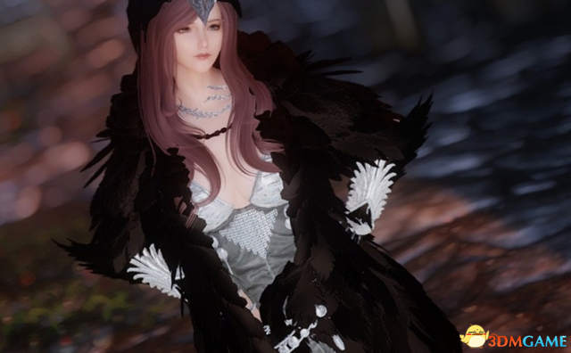 上古卷轴5 简单的动作MOD