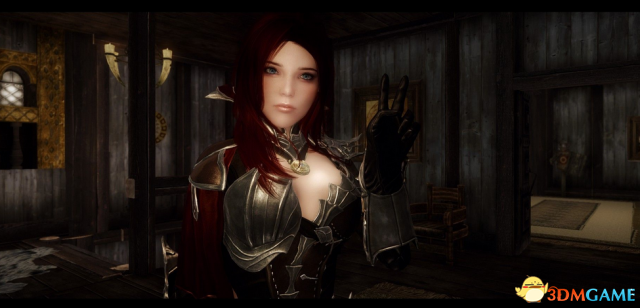 上古卷轴5 冰暴女王迪洁儿随从MOD