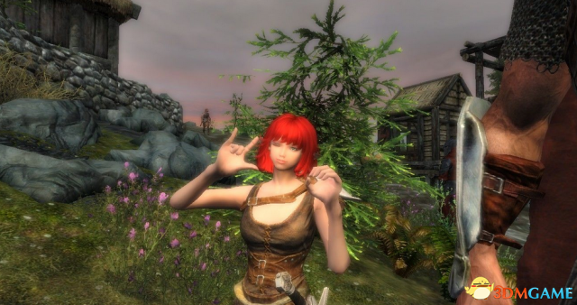 上古卷轴5 朱莉随从MOD