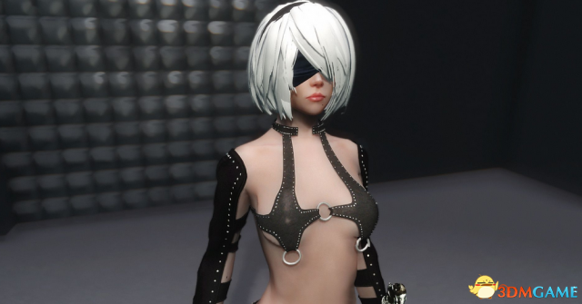 上古卷轴5 愚蠢的流氓衣MOD