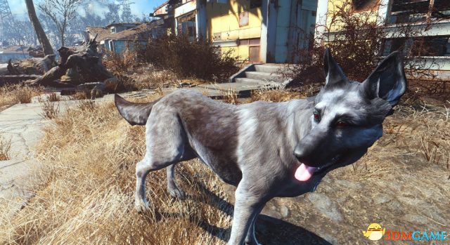 辐射4 灰狼皮肤MOD