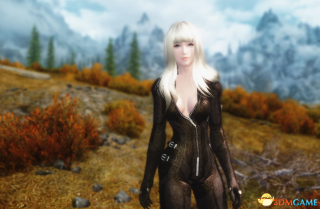 上古卷轴5:天际重置版 风暴女王爱力克斯MOD