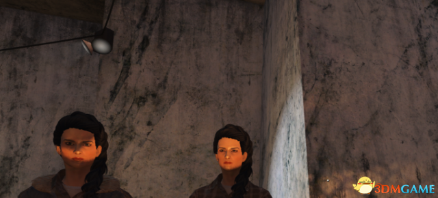 辐射4 另一个我MOD