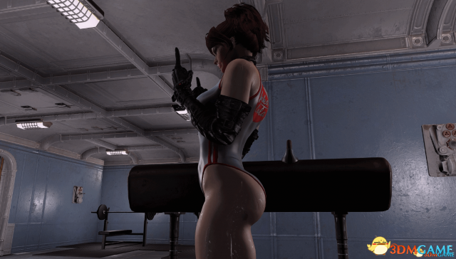 辐射4 丰满的身形MOD