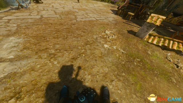 巫师3：狂猎  杰洛特第一人称视角MOD