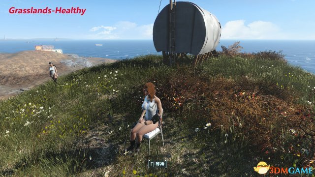 辐射4 草地增强场景美化MOD原谅整合包