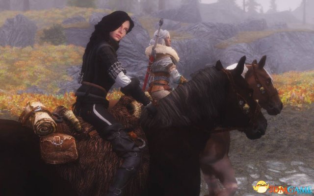 上古卷轴5 叶奈法巫师3黑发女巫随从MOD