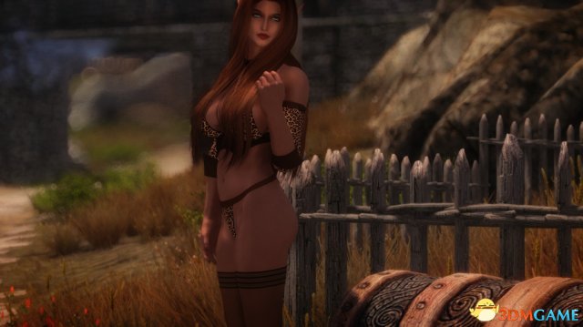 上古卷轴5 豹纹俏秘书省布料绅士服装MOD