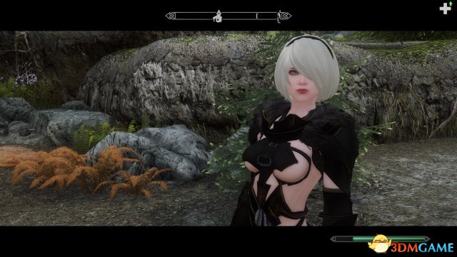 上古卷轴5 长得像2B小姐姐的随从MOD