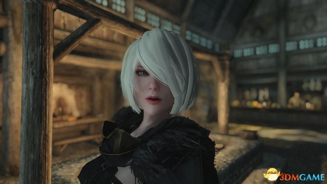 上古卷轴5 长得像2B小姐姐的随从MOD