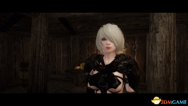 上古卷轴5 长得像2B小姐姐的随从MOD