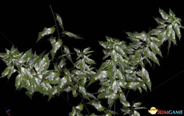 上古卷轴5 更真实的荨麻MOD