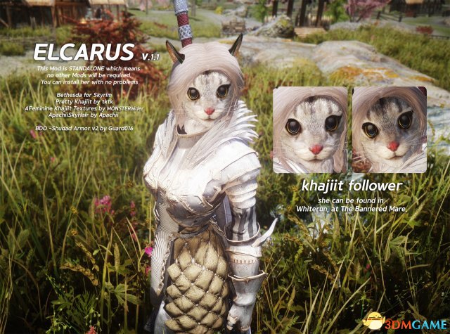 上古卷轴5 小虎人随从MOD