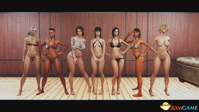 辐射4 拉丁天使预设MOD