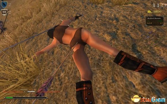 骑马与砍杀 联机MOD|CRPG2017.6.19最新版