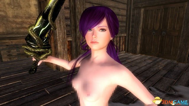 上古卷轴5 ZONEtan随从MOD