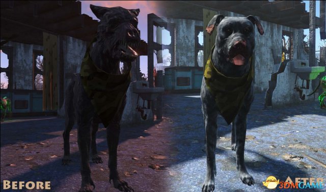 辐射4 野狗外貌修改MOD