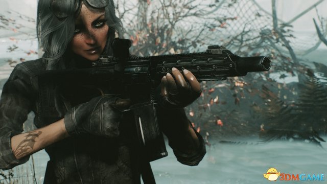 辐射4 Ru556第三人称修改MOD