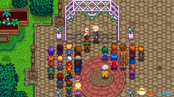 星露谷物语 v1.2.30一拳超人琦玉mod