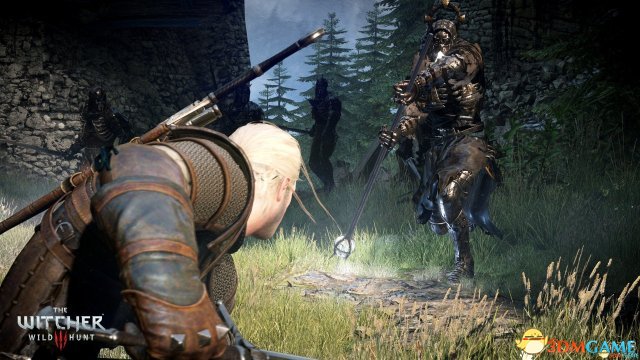 巫师3：狂猎 v1.31处决技动画mod