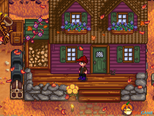 星露谷物语 哈德森的农场MOD