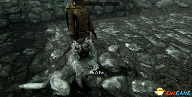 上古卷轴5：天际重制版 简简单单的狐狸随从MOD